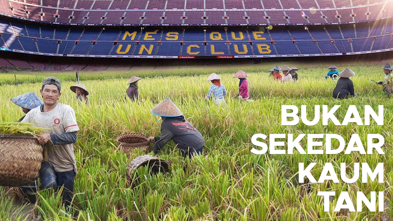 Kala Kelompok Penanam Padi Buka Sawah Di Catalan